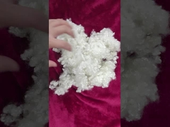 Fibra de grapa de poliéster